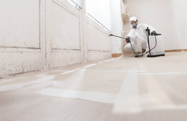 24/7 Emergency Mold Remediation experts in Emporia, VA